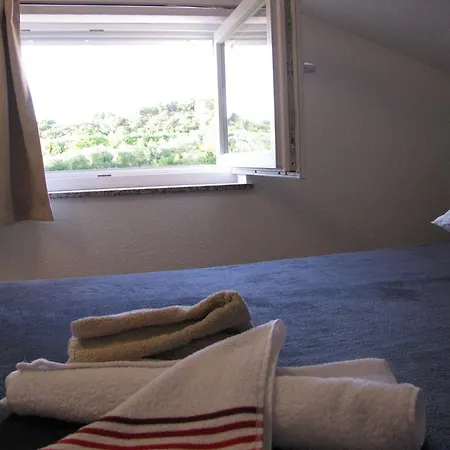Apartmani Verde Zadar Extérieur photo