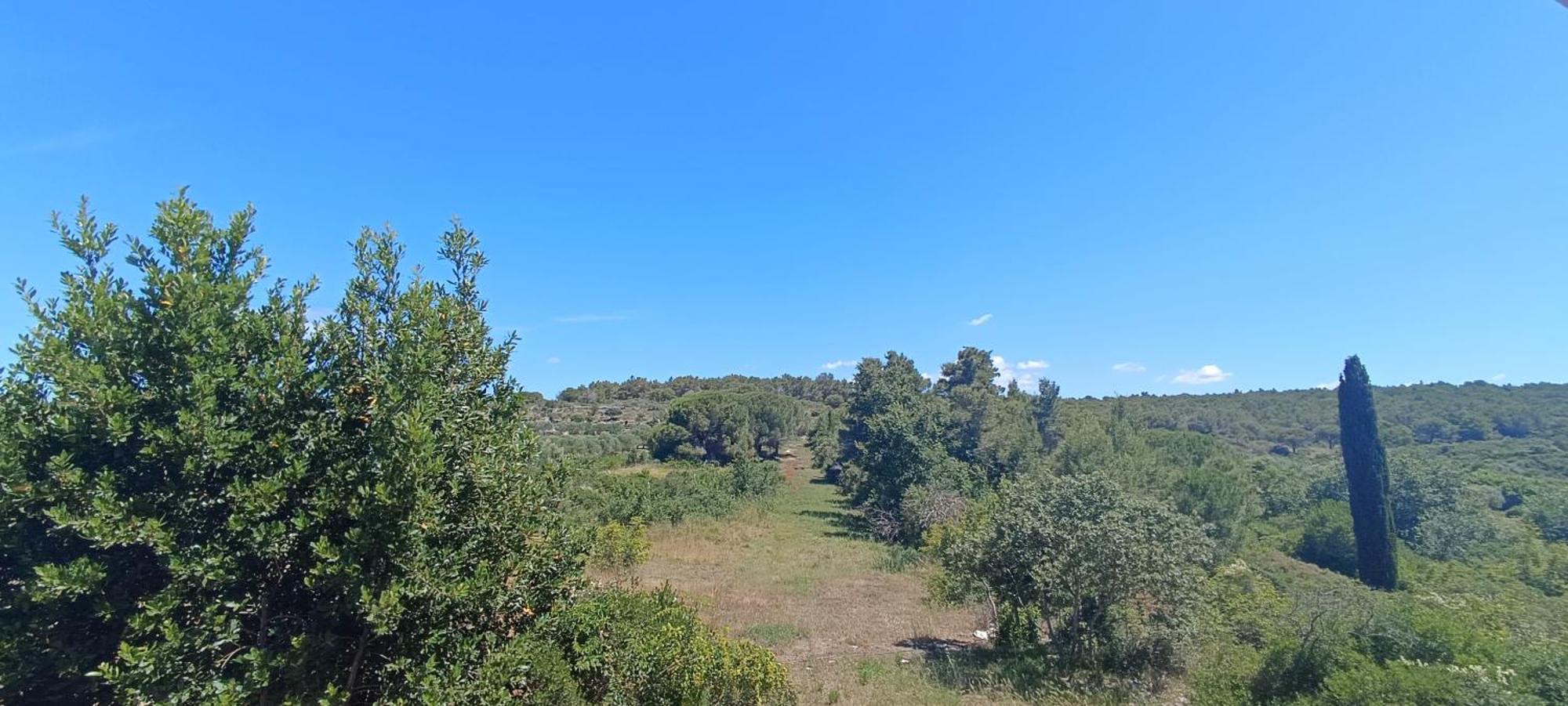 Appartement Apartmani Verde